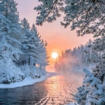 Winterfrische Aromaöl 10 ml